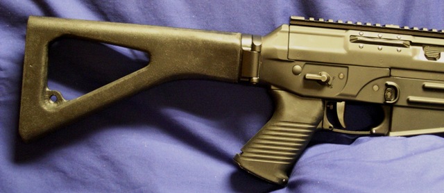 Sig 556 stock options